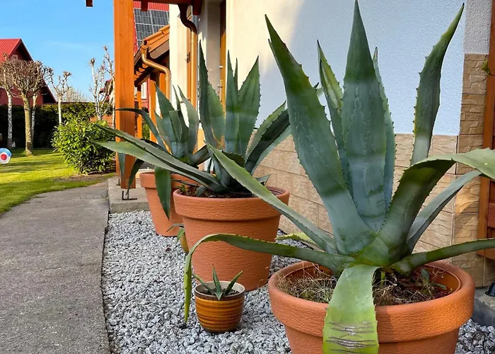 Messa Achkaszuby بوتسك